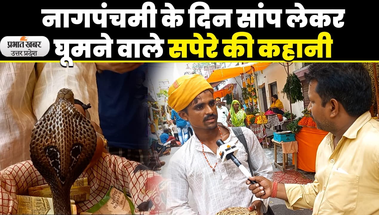 Nag Panchami 2023: नागपंचमी की परंपरा मानकर भक्त सांपों को पिला रहे दूध, सपेरे ने किया खुलासा