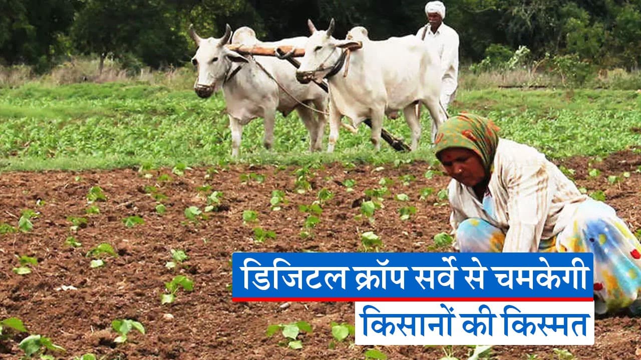 UP Farmer: किसानों के जीवन में खुशहाली की रहा खोलेगा डिजिटल क्रॉप सर्वे