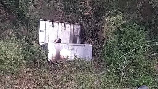 भदोही: बक्से में मिली अधजली लाश का हुआ खुलासा, किशोरी का था दूसरे लड़क से अफेयर, पुराने आशिक ने की हत्या