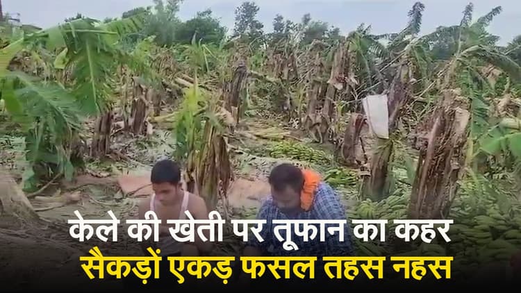 Ghazipur Storm News: तूफान का कहर, खेतों में तैयार खड़ी सैकड़ों एकड़ केले की फसल पल भर में तहस नहस