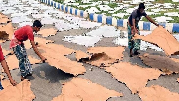 Kanpur News: अवैध तरीके से खुले में चमड़ा सुखाना पड़ा भारी, शासन ने 4 टेनरियों को भेजा नोटिस