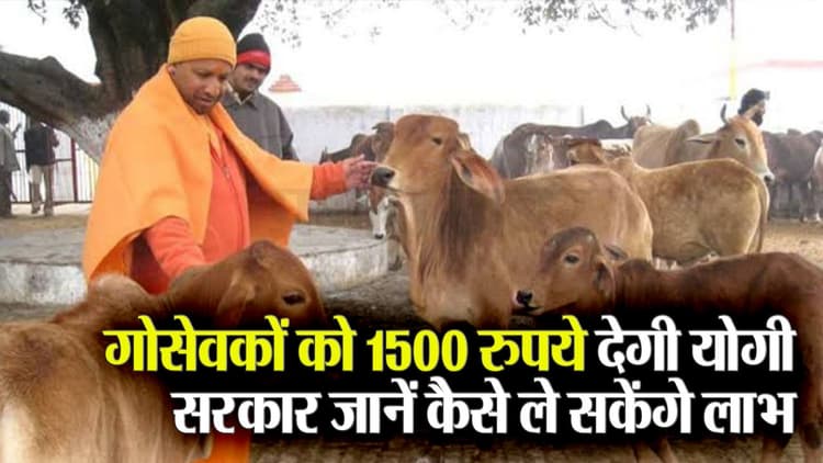 UP Government Big Announcement: गोसेवकों को अब हर महीने 1500 रुपये देगी योगी सरकार