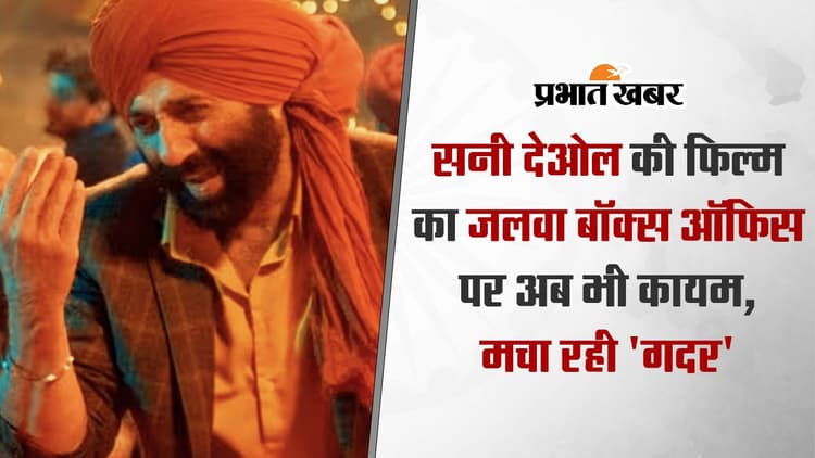 Gadar 2: सनी देओल की फिल्म का जलवा बॉक्स ऑफिस पर अब भी कायम, मचा रही 'गदर', जानें टोटल कलेक्शन
