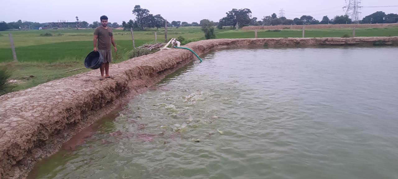 Success Story: नौकरी छोड़ तीन दोस्तों ने शुरू की मछली पालन, सालाना हो रही 30 लाख रुपये की आमदनी
