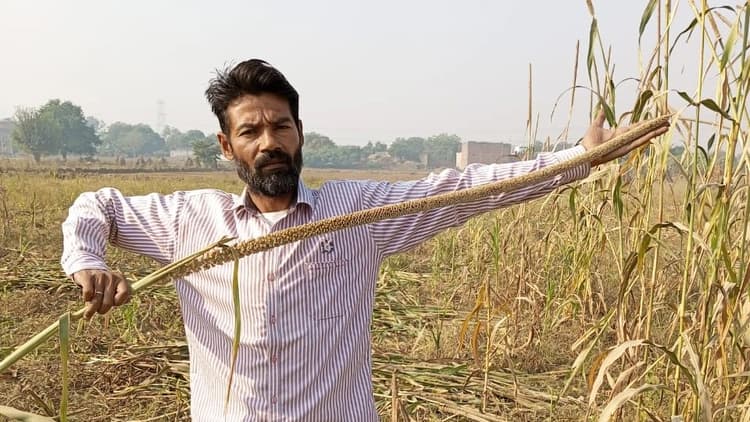 इजराइल से मंगाए बीज से खेती कर अलीगढ़ का किसान हुआ मालामाल, यहां जानें इसकी खासियत