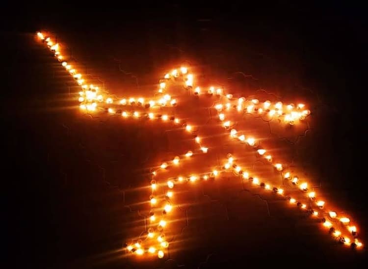 diwali 2023 : दिवाली से जगमग हुआ यूपी, फुलझड़ियाँ जलाईं,पटाखे फोड़े, दीयों में उतार दिया अपने खेल का जुनून