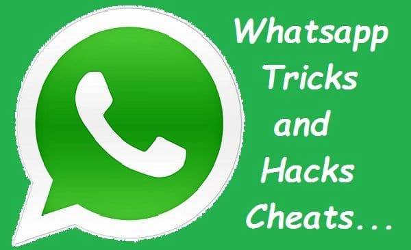 WhatsApp Tricks: ग्रुप में किसने पढ़ा आपका मैसेज, जानें पता लगाने का तरीका