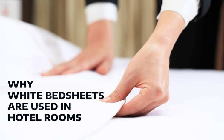 White Bedsheet: तो इस वजह से होटलों में बिछाई जाती है सफेद चादर, बेहद दिलचस्प है कारण