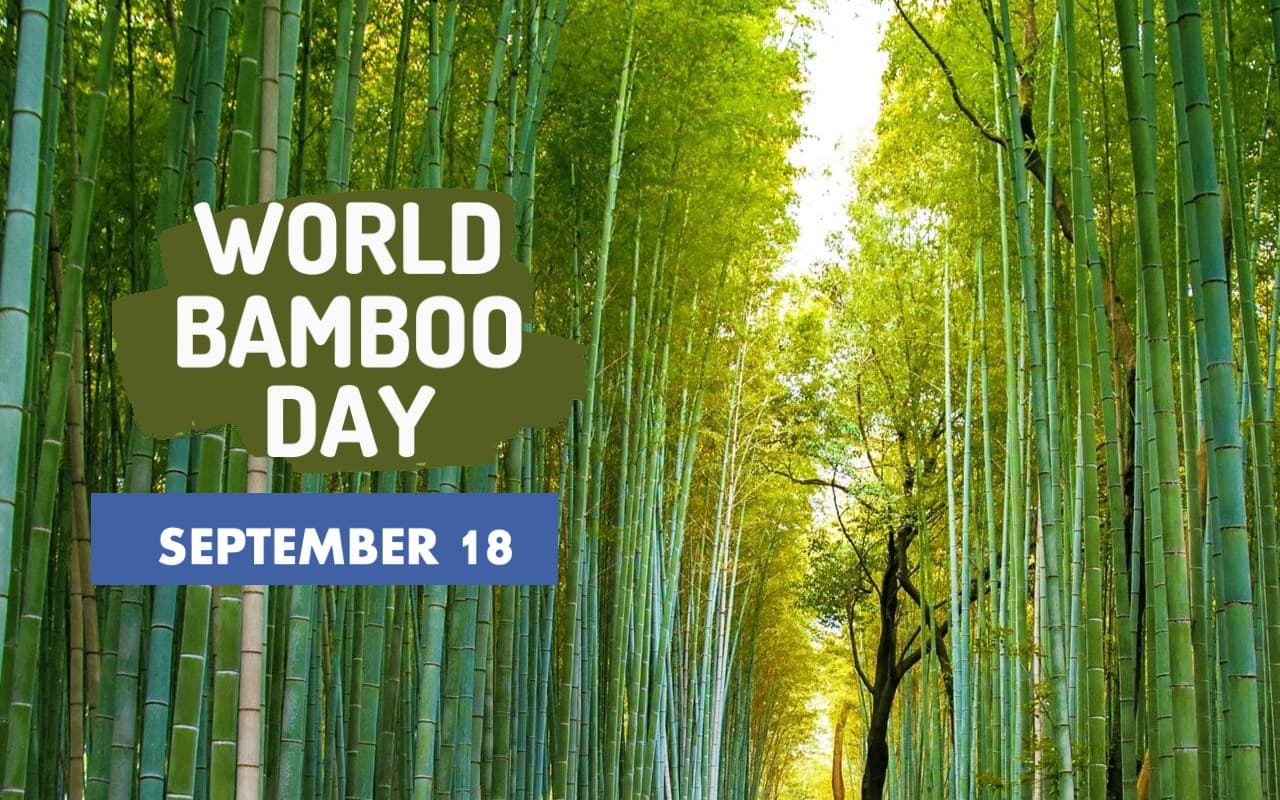 World Bamboo Day 2022: आज मनाया जा रहा है विश्व  बैंबू दिवस, जानें इसका हमारे जीवन में महत्व