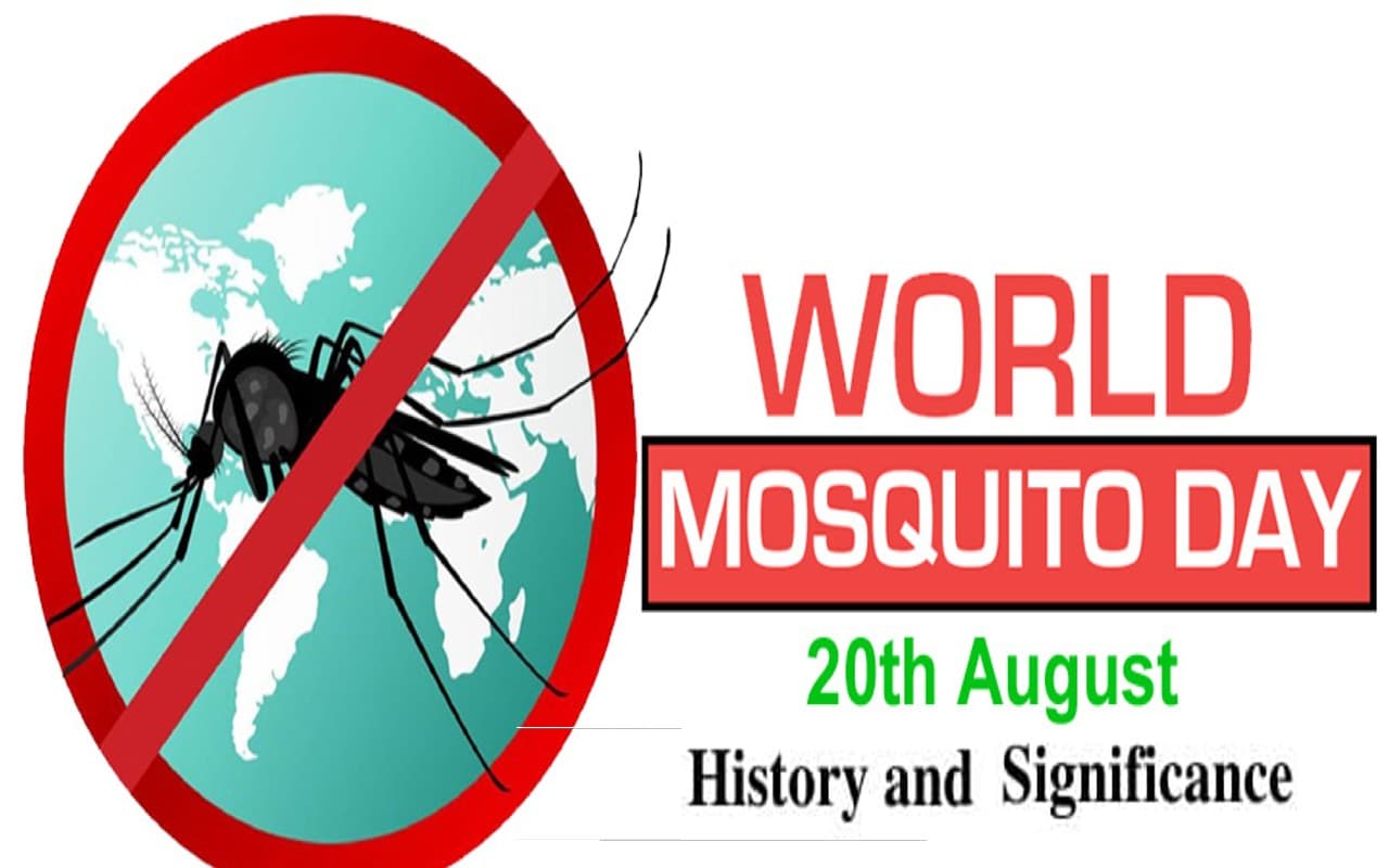 World Mosquito Day 2022: आज है विश्व मच्छर दिवस, जानिए इस दिन का इतिहास और महत्व