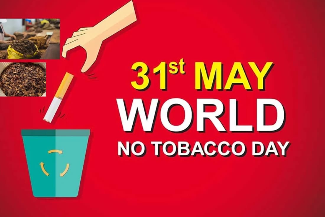 World No Tobacco Day 2023: भारत में 267 मिलियन Adult करते हैं तंबाकू का इस्तेमाल, ये टोबैको है अधिक पॉपुलर
