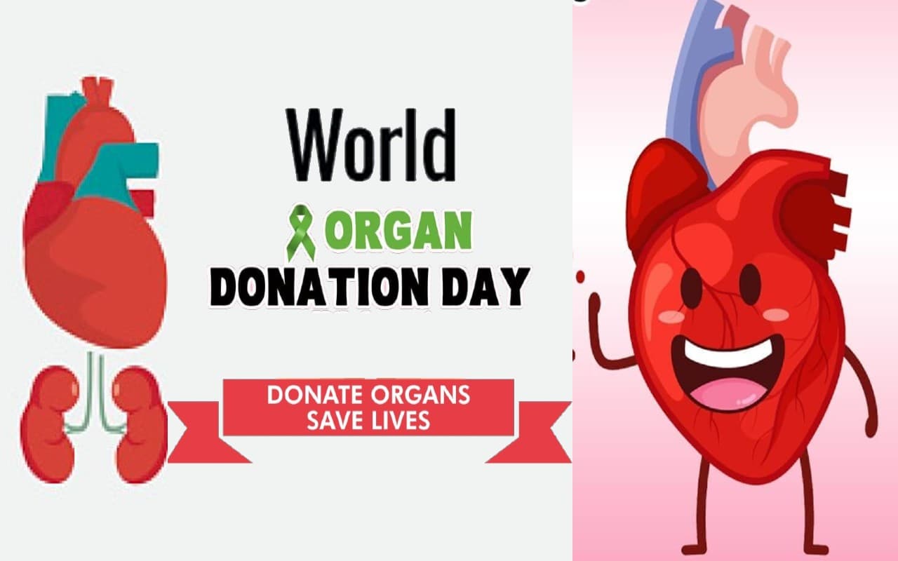 Organ Donation Day: बिहार में अंगदान की राह हुई आसान, पर कॉर्निया छोड़ बाकी अंगों में हम फिसड्डी