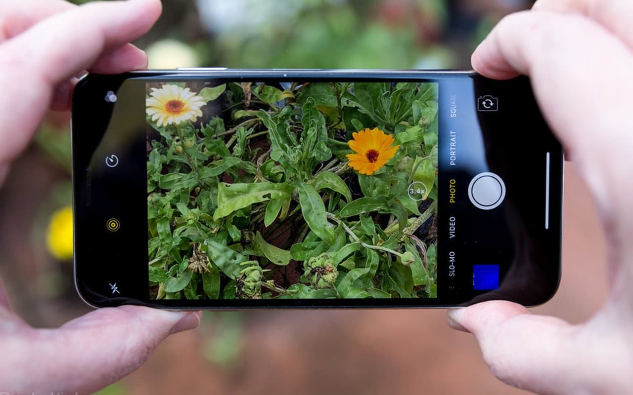 World Photography Day 2022: स्मार्ट फोन यूजर्स ऐसे क्लिक करें बेहतरीन फोटो, यहां है आसान टिप्स और ट्रिक्स