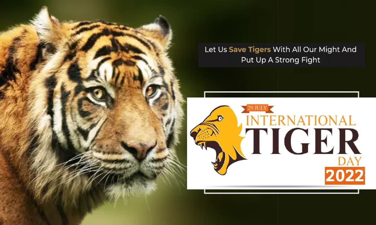 World Tiger Day 2022: आज है विश्व टाइगर दिवस, यहां पढ़ें टाइगर डे से जुड़े महत्वपूर्ण तथ्य
