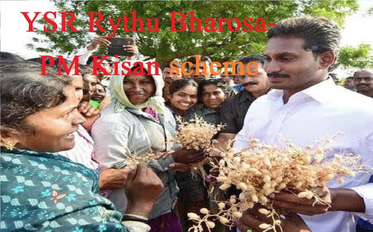 PM Kisan Scheme: इस राज्य के 52 लाख किसानों को मिली पहली किस्त, बैंक खातों में जमा हुए 5500 रुपये