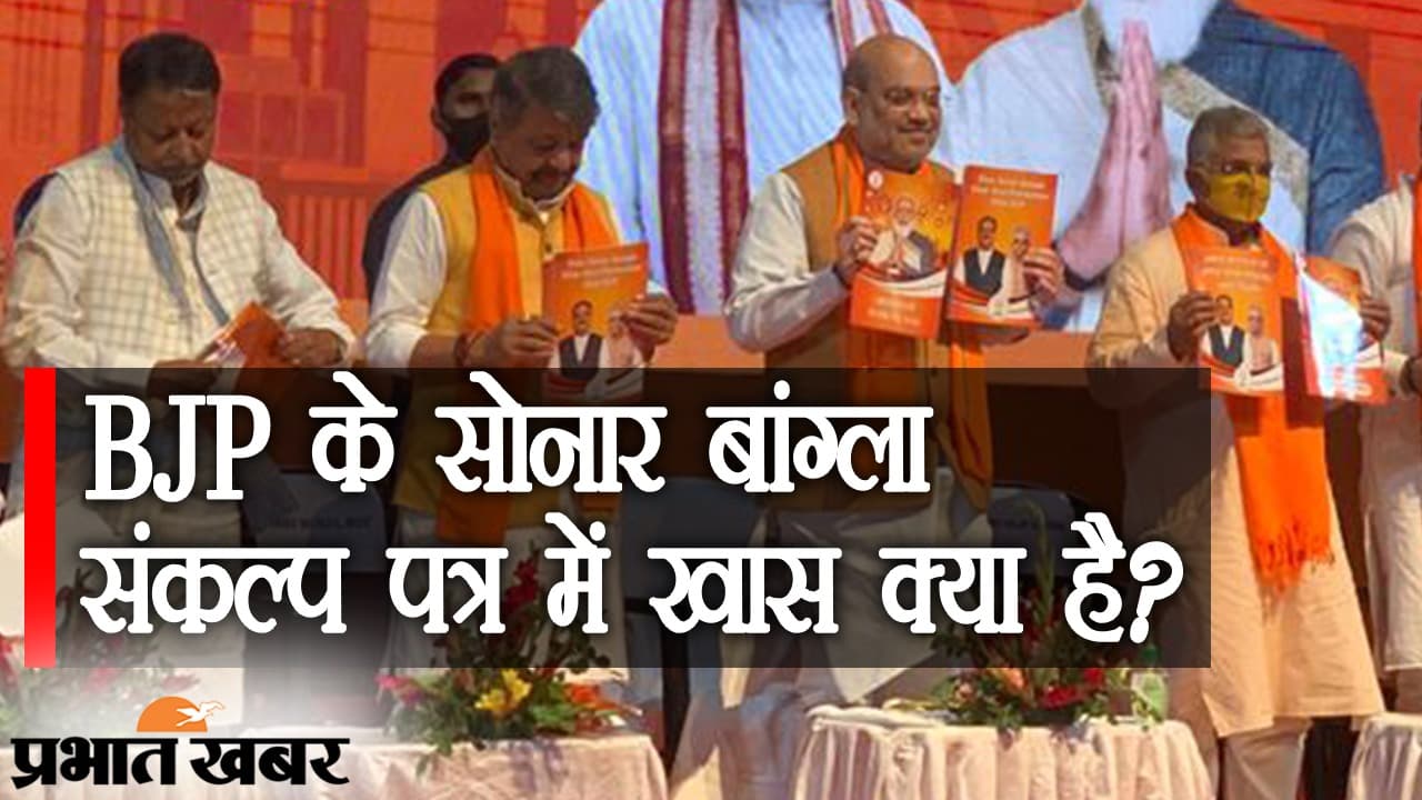 BJP का संकल्प पत्र जारी, महिलाओं और बुजुर्गों से लेकर हर तबके पर नजर, CAA लागू करने का भी भरोसा