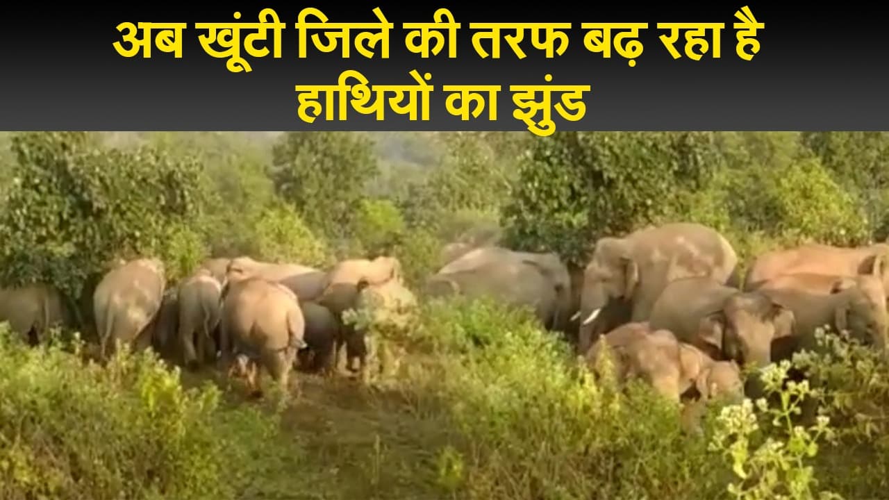 झारखंड : अब खूंटी जिले की तरफ बढ़ रहा है हाथियों का झुंड