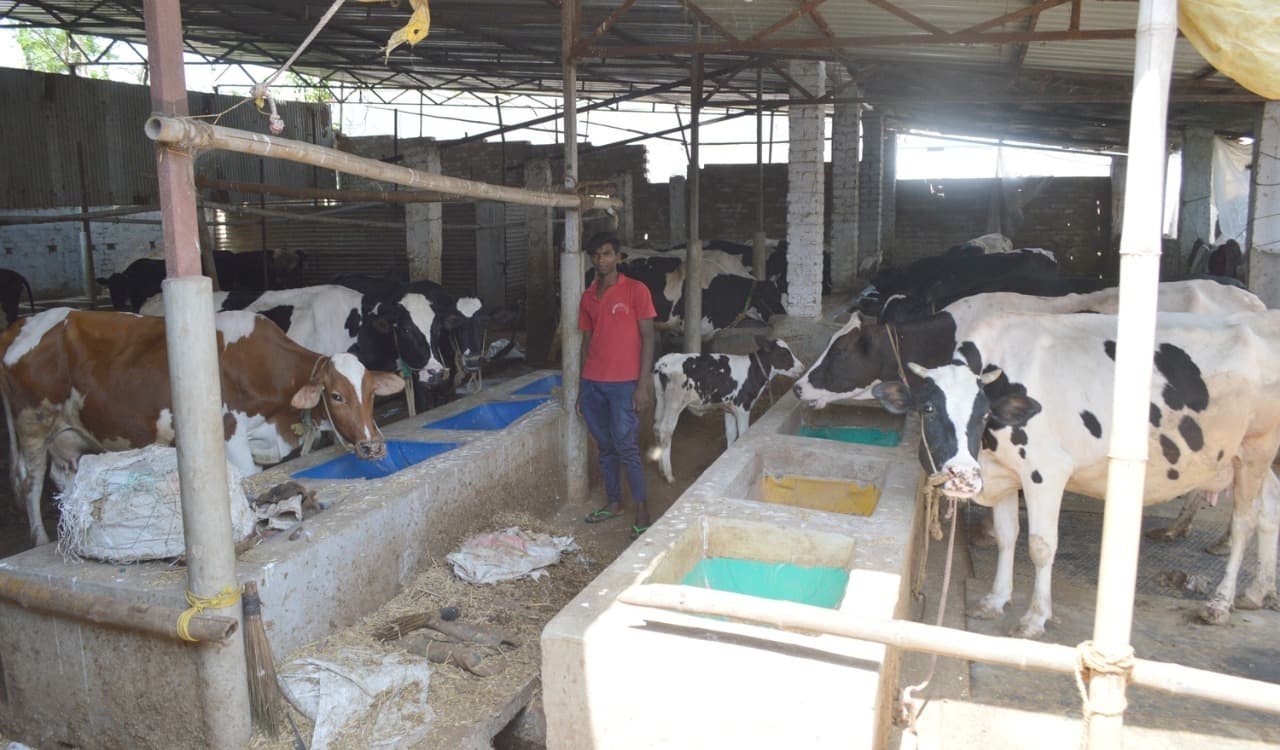 UP News : यूपी के गांवों में दूध की धार बहाने को सीएम योगी ने तैयार किया मास्टर प्लान, होगा पशुपालक को लाभ