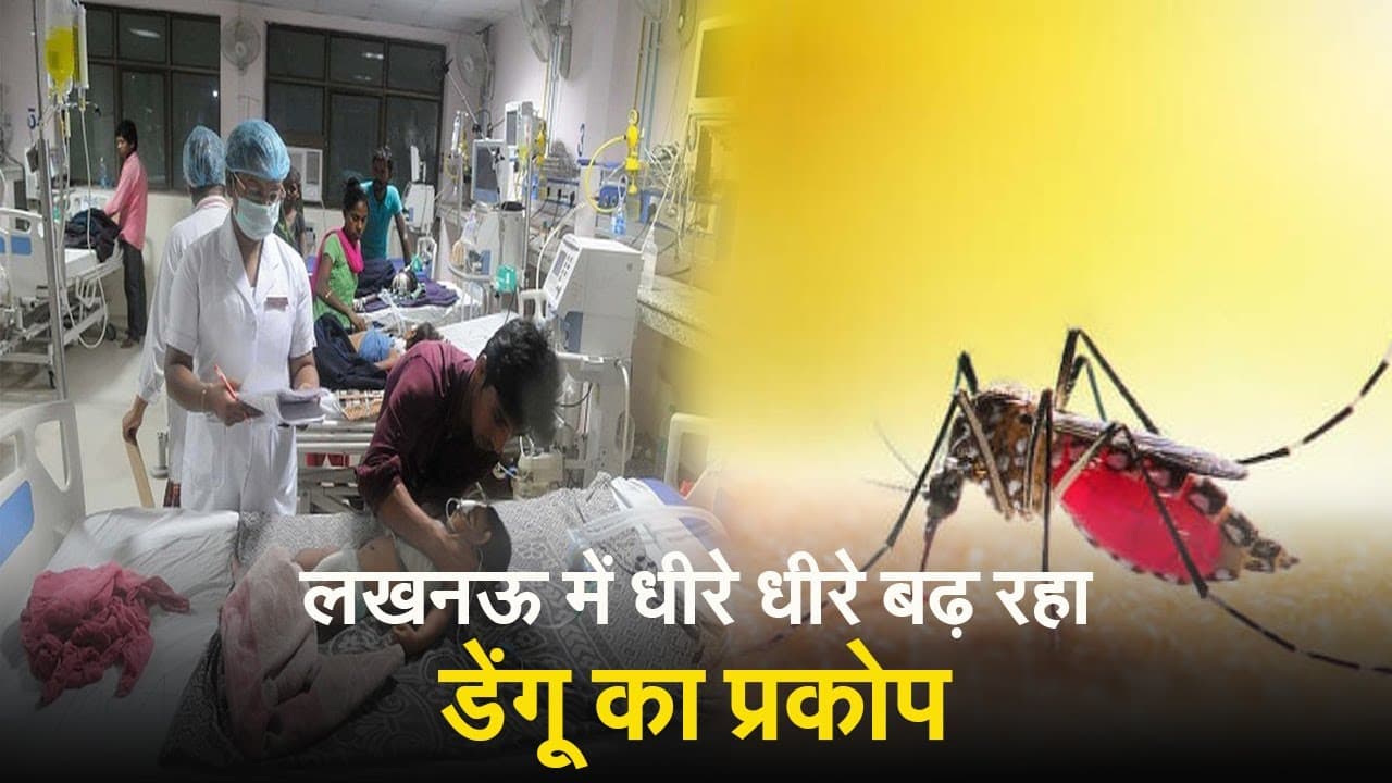 Dengue Fever in Lucknow: राजधानी में डेंगू का कहर, एक दिन में मिले 40 एक्टिव केस