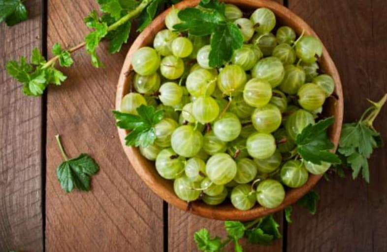 Amla Benefits: आंवला में छिपा है सेहत का राज, सर्दियों में रोज करें सेवन, इन बीमारियों से मिलेगा छुटकारा