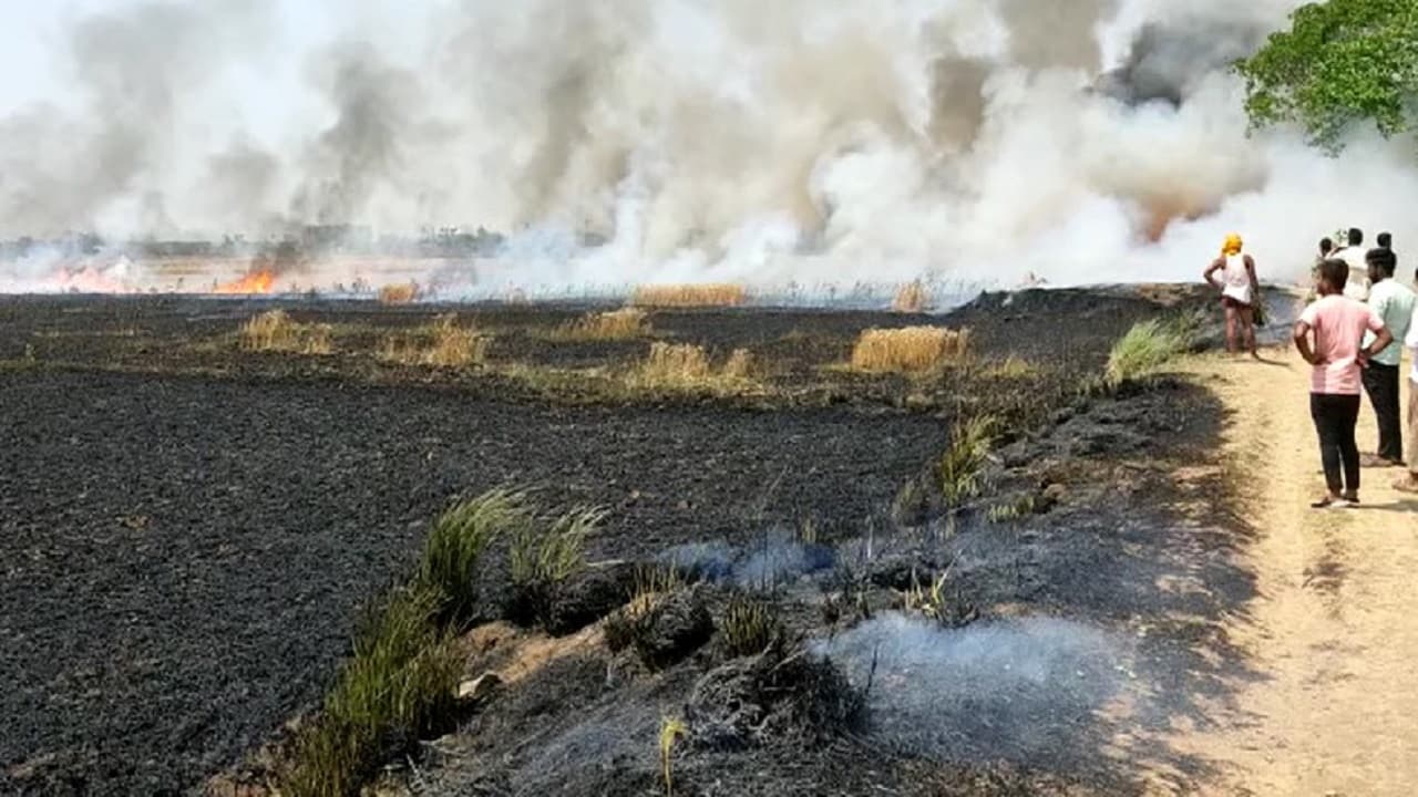 बिहार: बैंक ऑफ बड़ौदा में लगी भीषण आग, एक युवक झुलसा, मची अफरा-तफरी