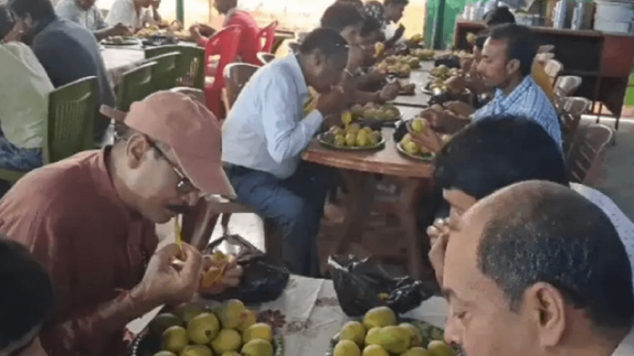 बिहार में आम खाने की अनोखी प्रतियोगिता का आयोजन, देखें मजेदार नजारा