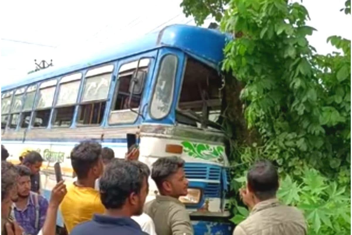फूड डिलिवरी ब्वॉय को बचाने में पेड़ से टकरायी तेज रफ्तार बस, चालक एवं कंडक्टर समेत 23 यात्री जख्मी