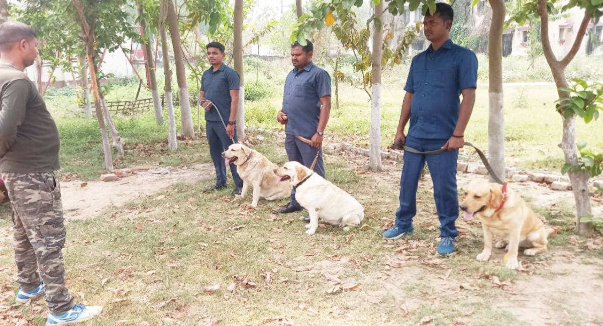 Munger: शराब माफियाओं के लिए मुसीबत बने लिकर डॉग मेडी और बॉबी, सरीना और डिंडी भी अपने काम में माहिर