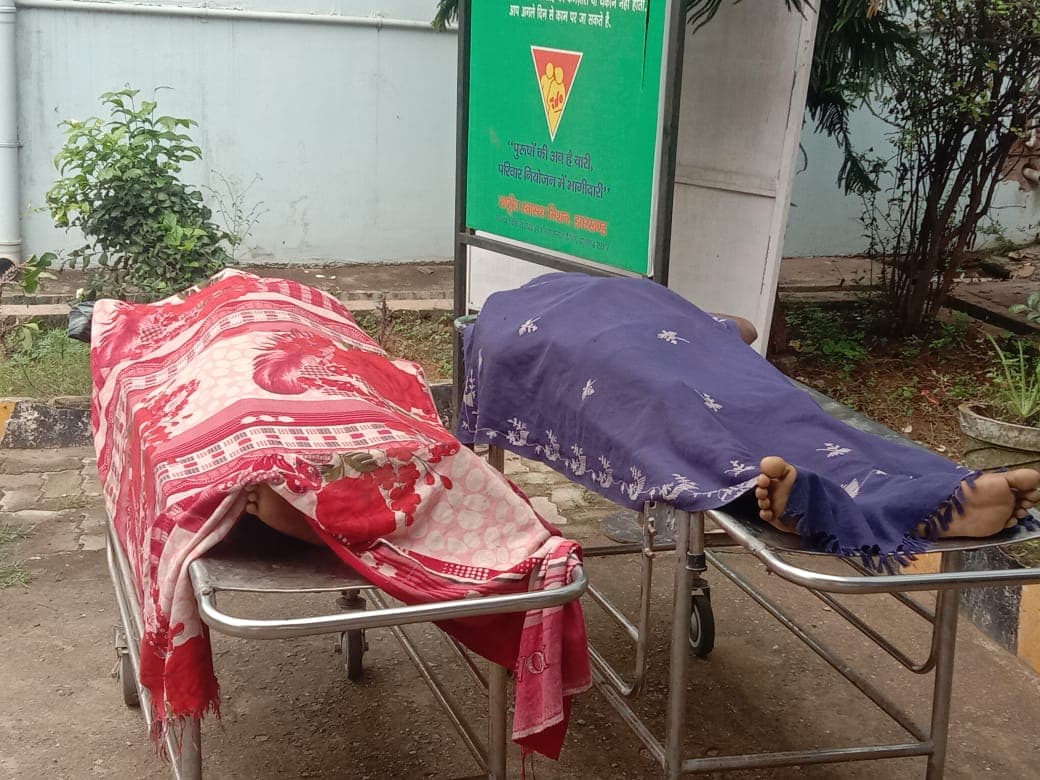 झारखंड के सरायकेला में सांप के काटने के दो की मौत, बिहार के रहने वाले हैं मृतक