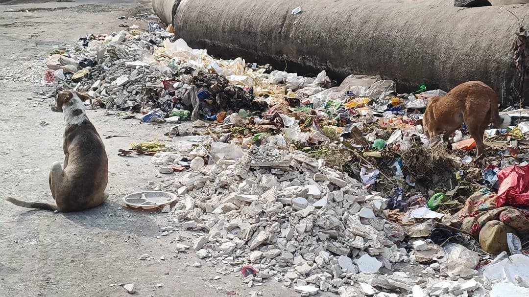 Agra Pollution: मंडलायुक्त ने कोयले के उपयोग पर लगाई रोक, मेडिकल अपशिष्ट खुले में छोड़ने पर होगी कार्रवाई