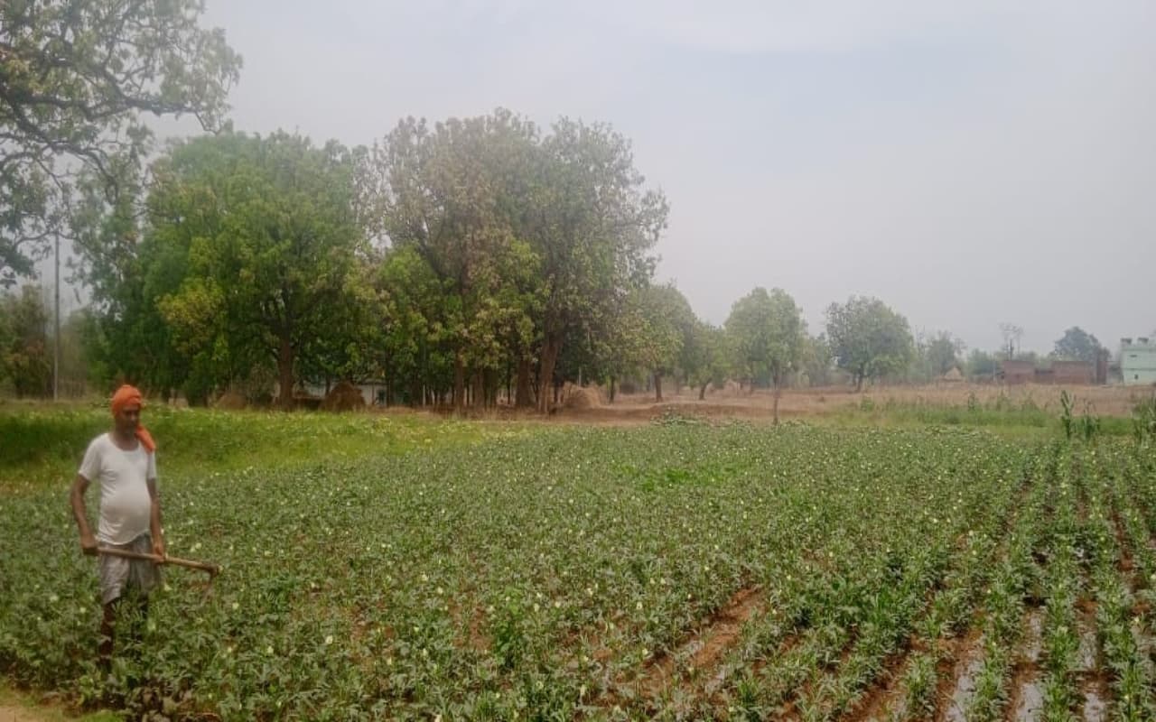 बोकारो कृषि हब के रूप में होगा विकसीत, पानी पटवन की व्यवस्था बहाल करने की योजना