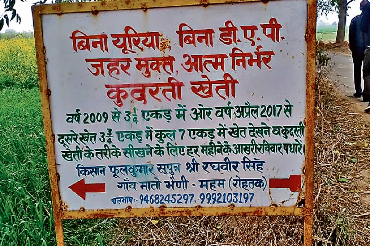 हरियाणा के फूल कुमार की खेती से प्रभावित हुई झारखंड सिविल सोसाइटी फोरम की टीम, खेत का किया दौरा