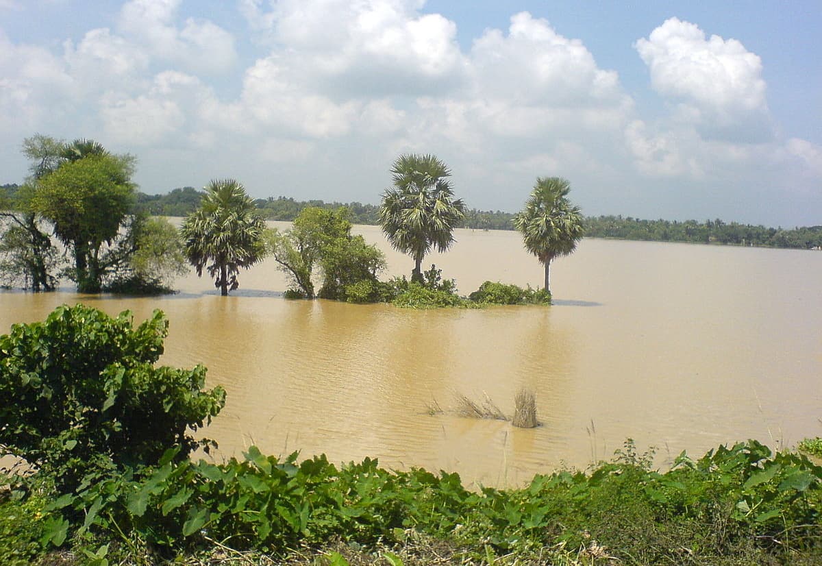 बाढ़ में पटना के 28 हजार हेक्टेयर में लगी धान, मक्का और अरहर की फसल डूबी, नुकसान से किसान परेशान