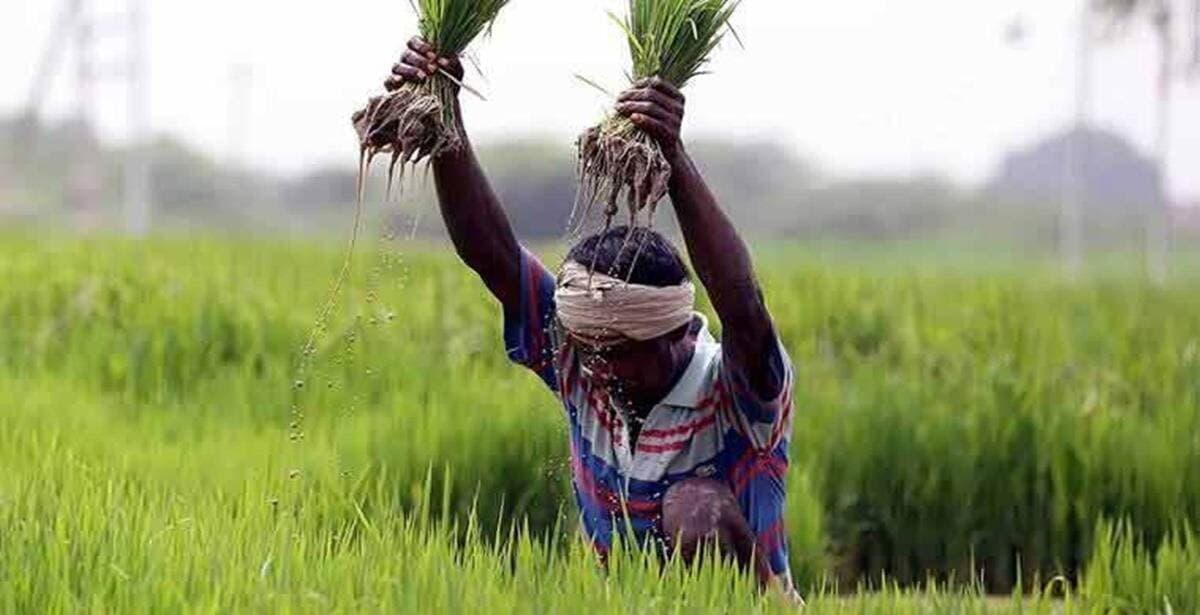 Agriculture:प्रधानमंत्री मानधन योजना के मामले में बिहार है सबसे आगे