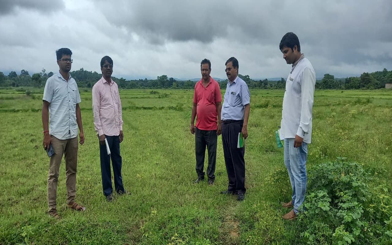 कम बारिश से सरायकेला-खरसावां जिला में सुखाड़ की स्थिति, खरीफ फसल प्रभावित, जायजा लेने पहुंचे अधिकारी