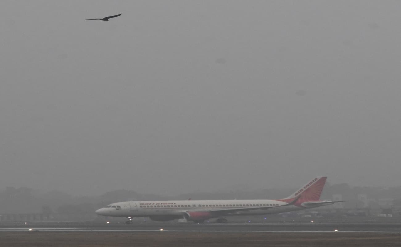 पटना एयरपोर्ट के पास से निर्देश के बाद भी नहीं हट रहे बूचड़खाने, मांस के टुकड़े के लिए मंडराते रहते पक्षी