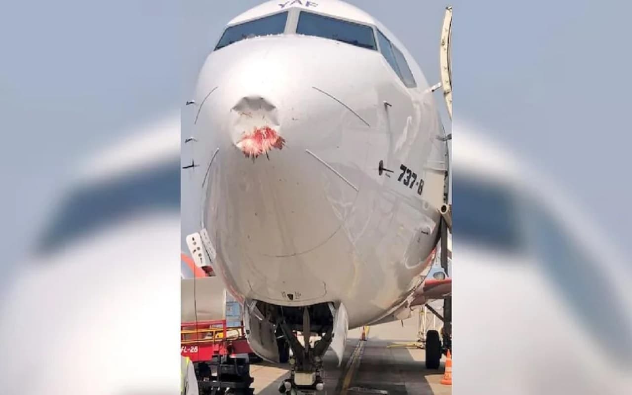 Akasa Air Flight: पक्षी की चपेट में आयी Akasa Air की फ्लाइट, लैंडिंग के बाद विमान में दिखा डैमेज