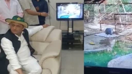 यूपीः सारस से मिलने कानपुर चिड़ियाघर पहुंचे अखिलेश यादव, बोले- मैं जिससे मिलता हूं, उसे सरकार भेज देती है जेल