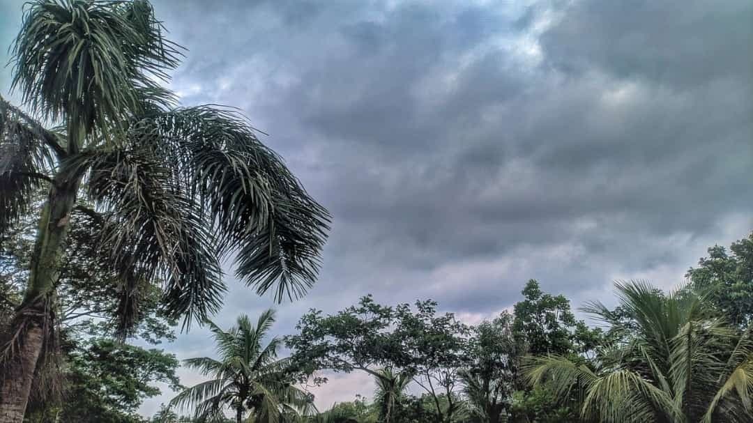 Cyclone Alert : चक्रवाती तूफान की वजह से बदलेगा मौसम? जानें मौसम वैज्ञानिकों ने क्या कहा