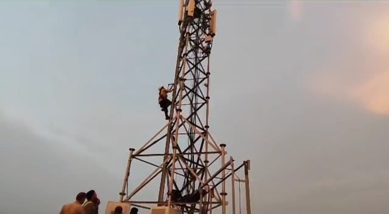 अलीगढः मोबाइल टावर में फंसे कौवे का रेस्क्यू अभियान चलाकर बचाई गई जान, मेनका गांधी का आया था फोन