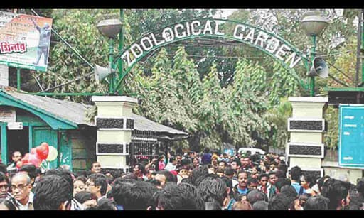 कोलकाता के अलीपुर चिड़ियाघर में दर्शकों की संख्या में कोई कमी नहीं आयी