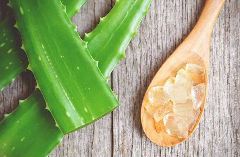 Benefits of Aloe Vera : वजन घटाने के लिए   मददगार है एलोवेरा, जानिए क्या है इसके और फायदे