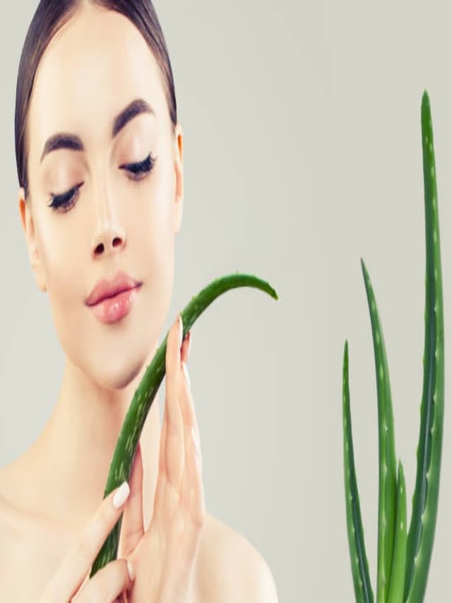 Beauty Tips : हर दिन एलोवेरा जूस पीने का होगा जादुई असर, देखने वाले हो जाएंगे हैरान