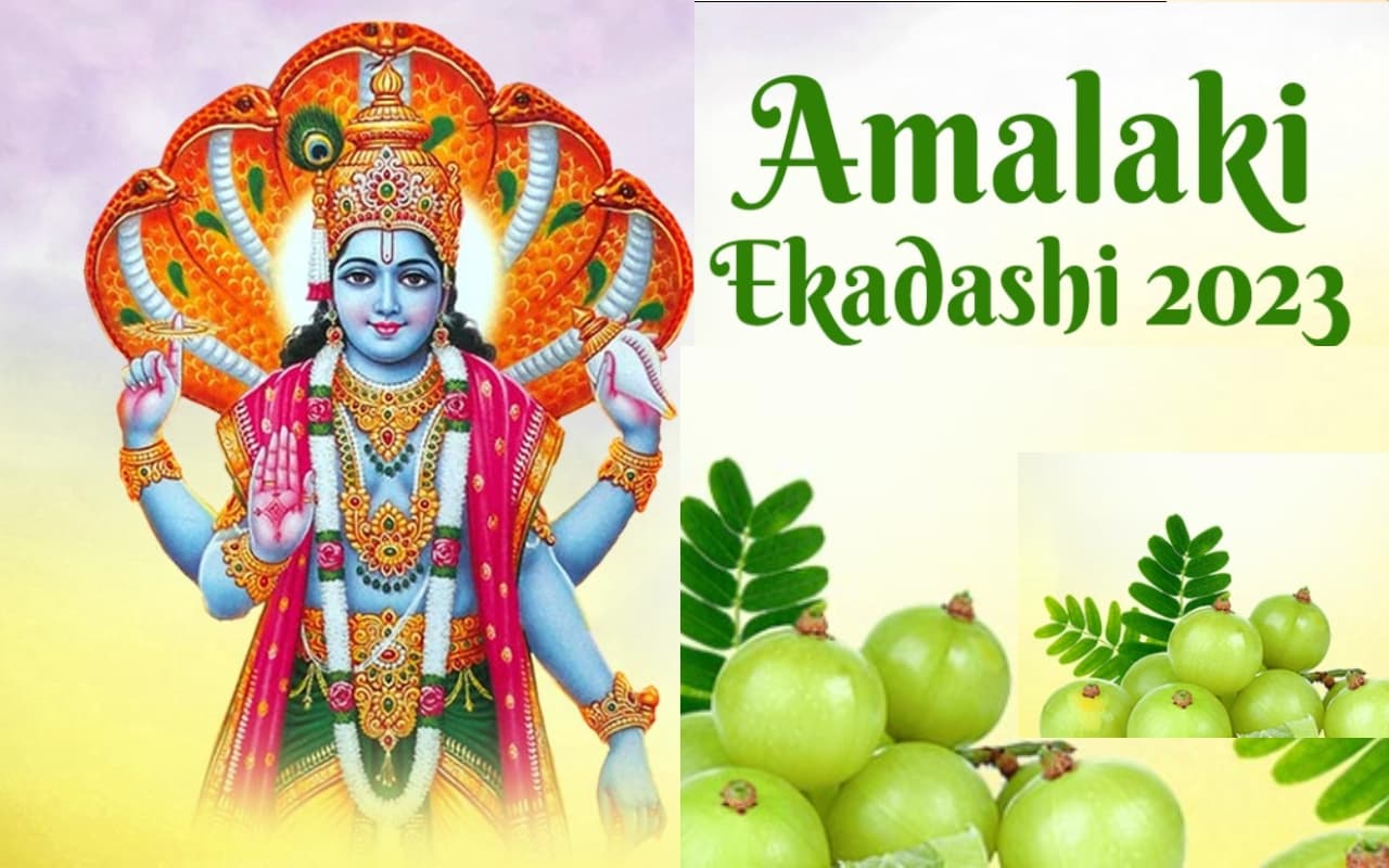 Amalaki Ekadashi 2023: आमलकी एकादशी पर आंवला वृक्ष की पूजा का है खास महत्व, पूजा विधि, पारण का समय जानें