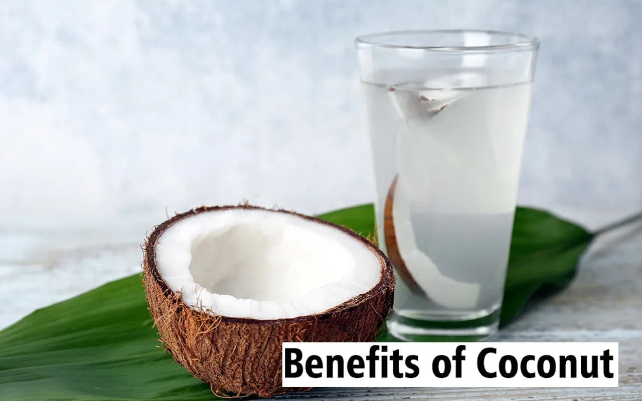 World Coconut Day 2022: विश्व नारियल दिवस आज, खाली पेट इन्हें खाने से सेहत को मिलेंगे ये फायदे