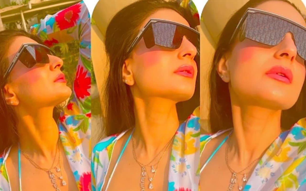 Gadar की सकीना ने 46 की उम्र में बढ़ाया इंटरनेट का पारा, VIDEO में एक्ट्रेस की अदाएं देख यूजर्स के उड़े होश