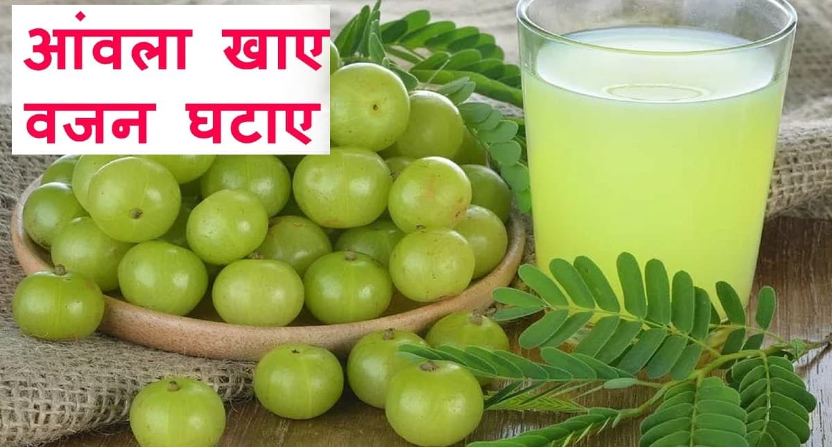 Weight Loss Drink: वजन कम करना हो तो पीजिए आंवले का जूस, इम्युनिटी को इम्प्रूव करने में भी है फायदेमंद