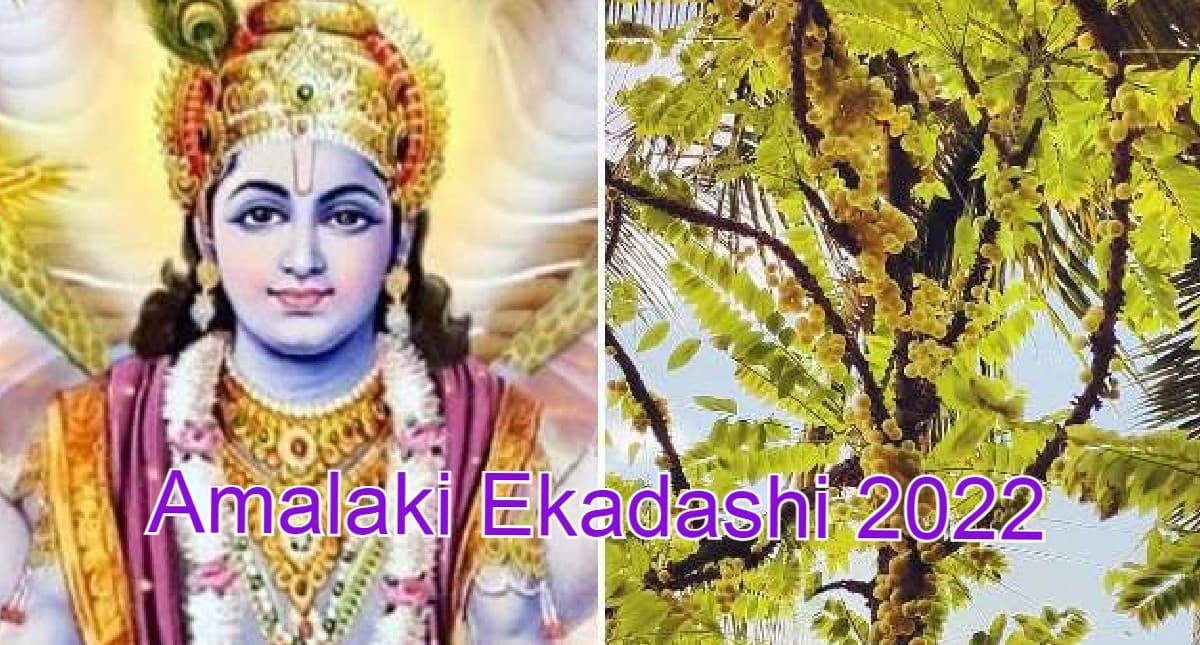 Amalaki Ekadashi 2022 Date: कब है आमलकी एकादशी? शुभ मुहूर्त, पारण का समय जानें
