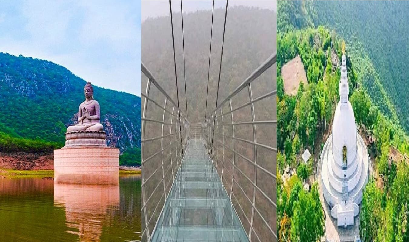 Bihar Tourism: नेचर सफारी से लेकर विश्व शांति स्तूप तक, राजगीर में घूमने के लिए है कई खूबसूरत जगह