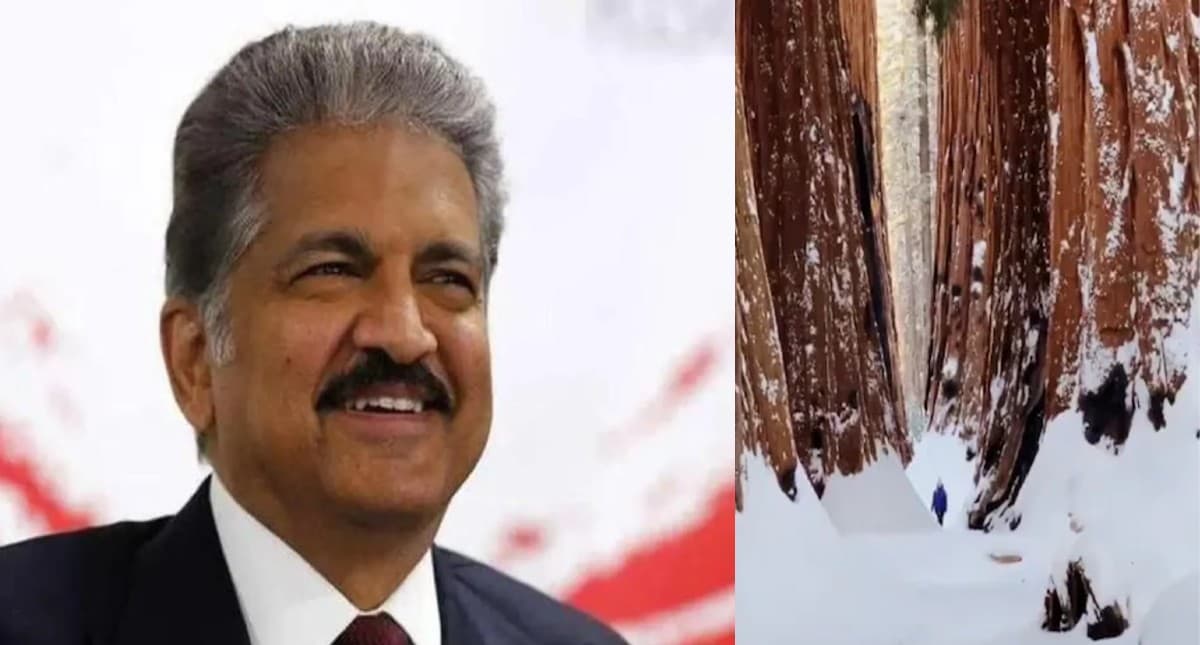 बड़ी से बड़ी मुश्किल से लड़ने का हौसला देगा ये Video, एक बार जरूर देखें